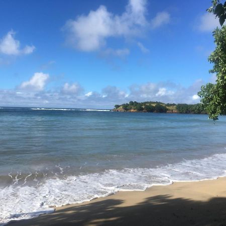 Studio Ana Martinique Ла-Трініте Екстер'єр фото