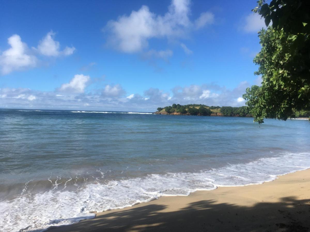 Studio Ana Martinique Ла-Трініте Екстер'єр фото